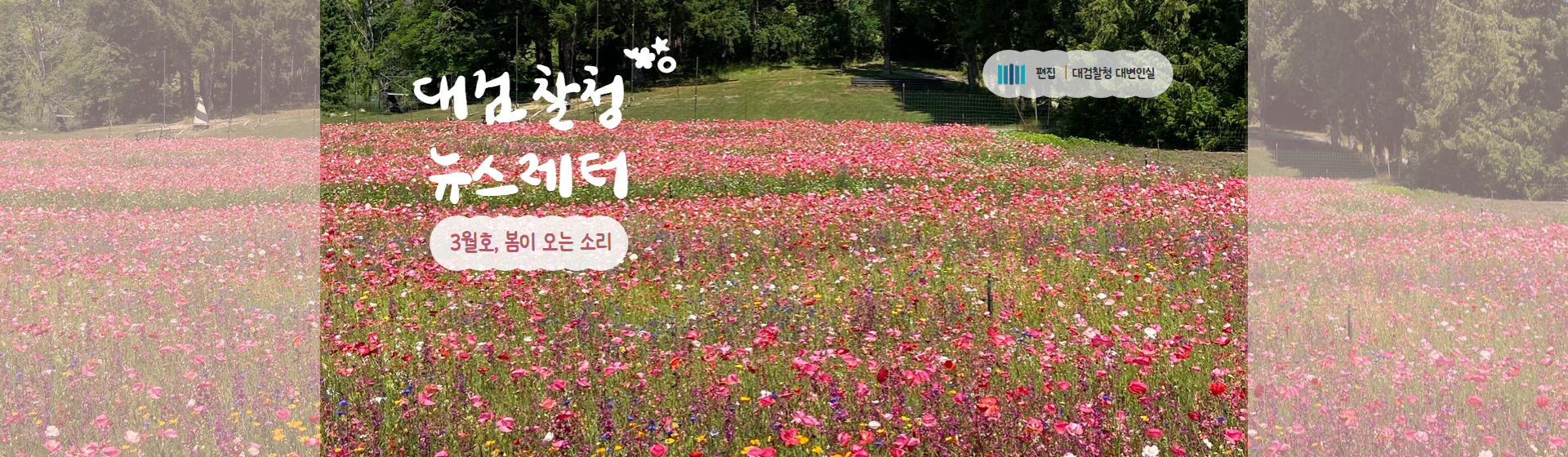 대검찰청 뉴스레터 3월호 보러가기