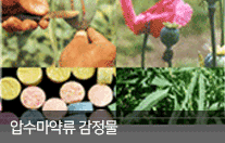 압수마약류 감정물